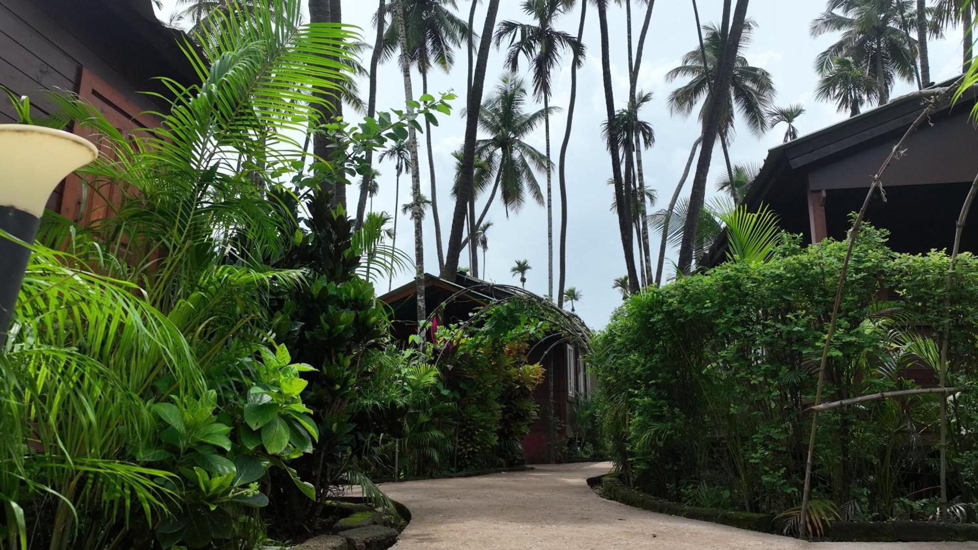 Tranquil Beach Resort Harihareshwar Extérieur photo
